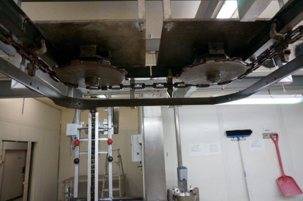 Abattoir multi species main chain